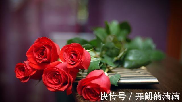 玫瑰花和月季花长得很像，如何正确区分