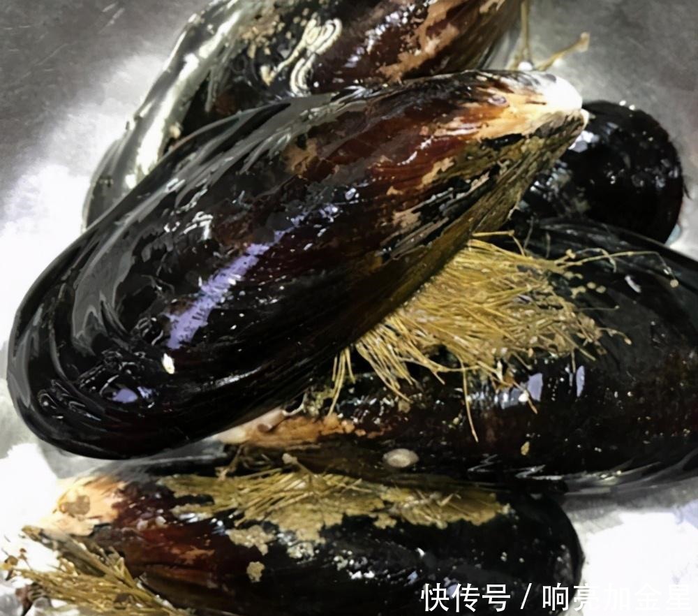 春天,遇见“第一鲜”要多买一些,1斤3元,给家人享受天然美味