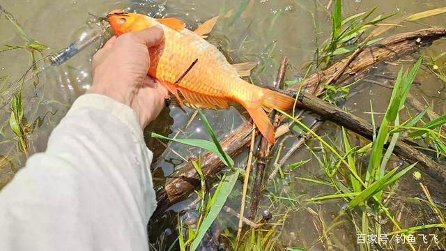 危险!这两个季节是钓鱼人的“克星”开钓需谨慎,血淋淋的教训