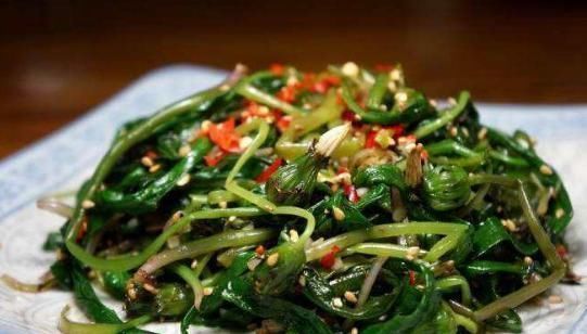 药草|蒲公英被称为“药草皇后”,常吃有什么好处?医生:1类人少吃!