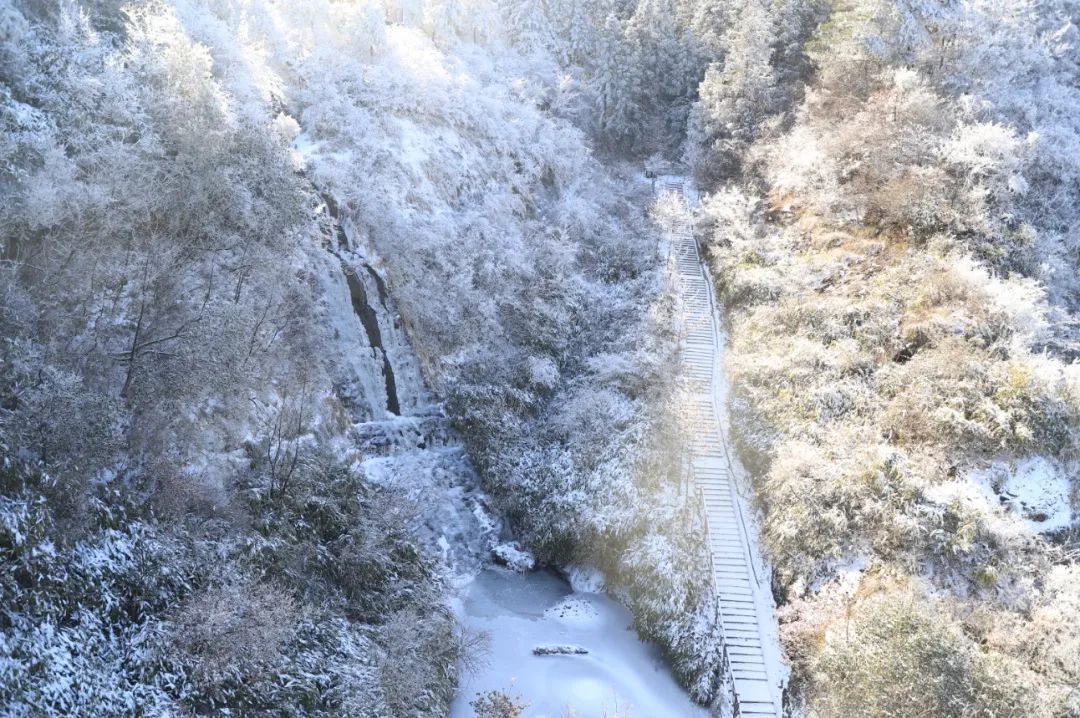 冬日不用去远方！遂昌这处“雪乡”美的已如童话世界~