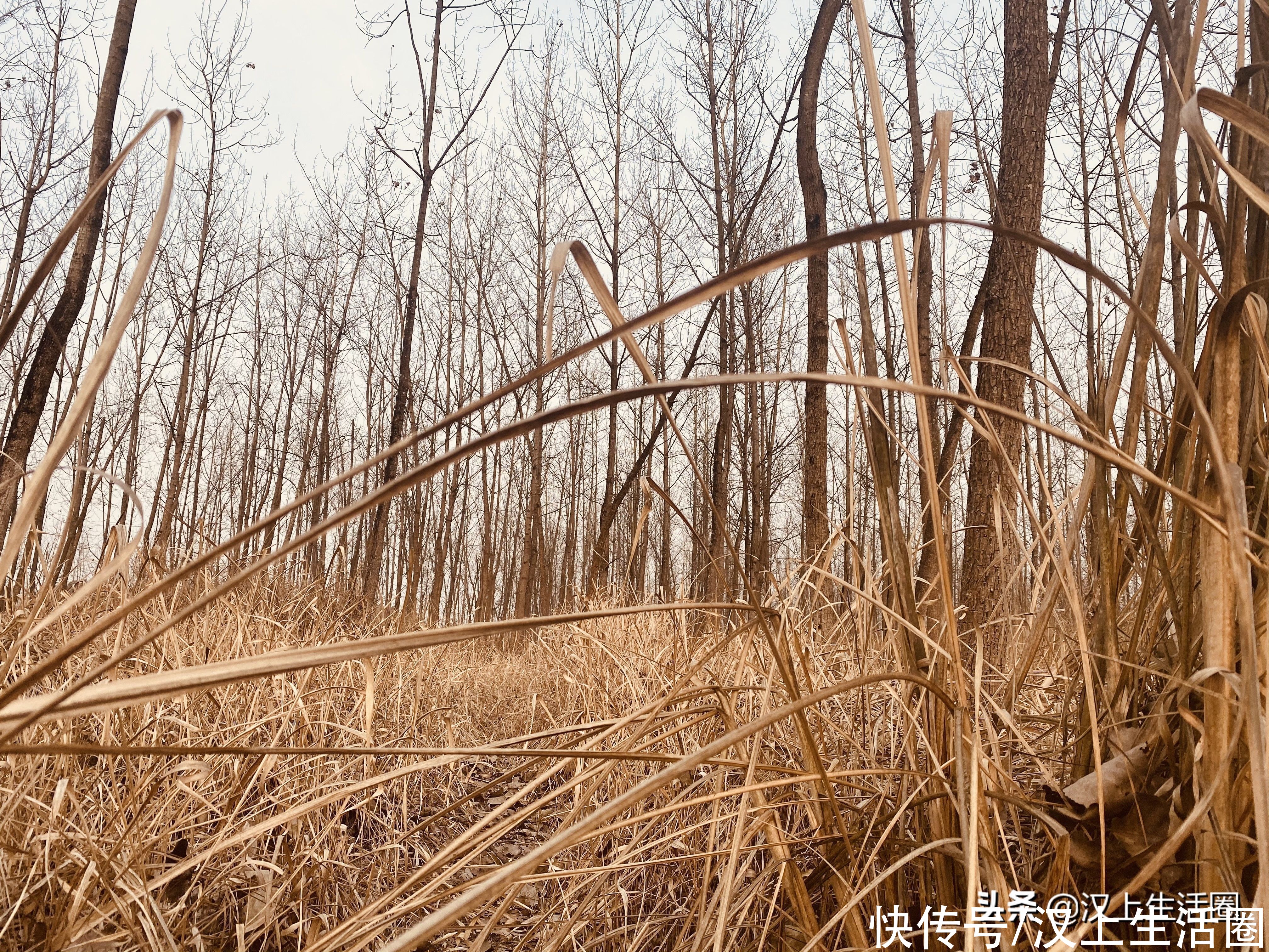 墨秋日曰：独卧溪边任水流，静坐青石意悠悠，风爱荒野