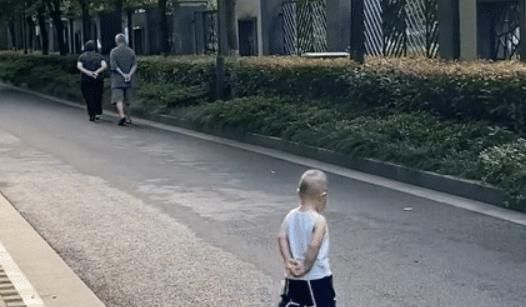 lulu|“老干部宝宝”出门溜达,背着手屁颠屁颠跟在后面,模仿到了精髓