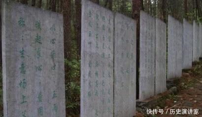 她死后埋了48座坟, 48个送葬队伍全毒死, 是正史唯一列传的女将!