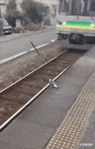 架势|“对门刚搬来的小姐姐开着门做饭,好奇瞅了一眼,这架势是刚睡醒?”,哈哈哈哈!