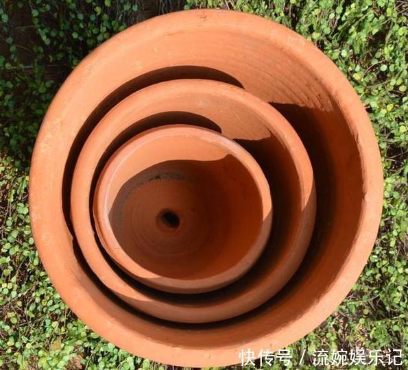  养花挑盆很关键摸清6种材质的优劣，轻松选好花草的''新家''