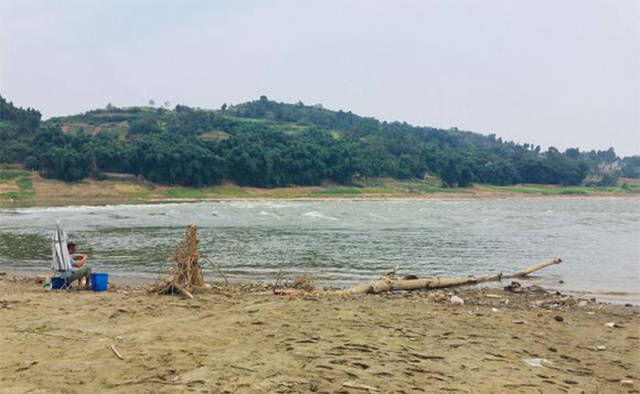 和网鱼|野河资源就是好!看看这些大鱼,感觉在这里钓鱼能让人发家致富