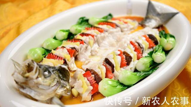 湖南湘江边的钓鱼大军,隆冬的严寒也不能阻挡,有人直接以此赚钱