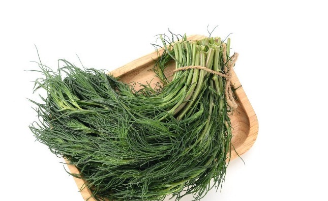 野菜|春天挖野菜,送你56种野菜大图片,带你见识不同的野菜和吃法