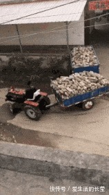 |搞笑GIF：给媳妇买的生日礼物刮胡刀，她高兴的像个孩子！