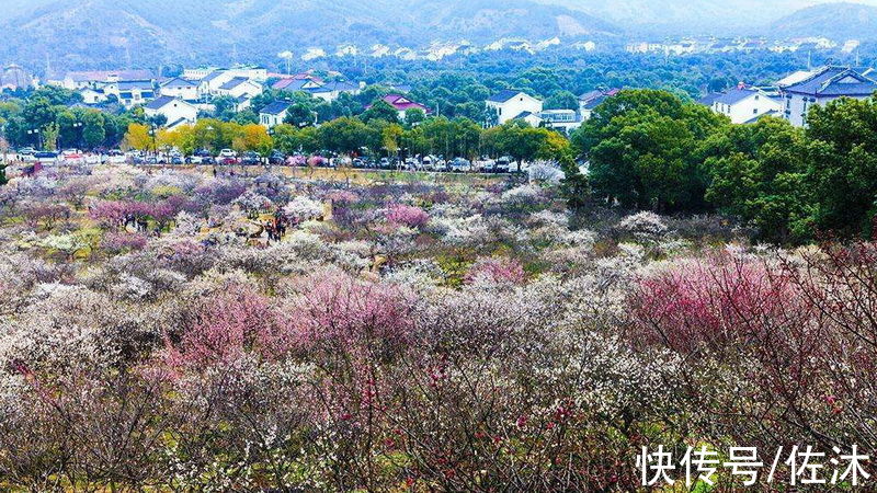 寒山寺！寻找《西游记》与《红楼梦》中的苏州