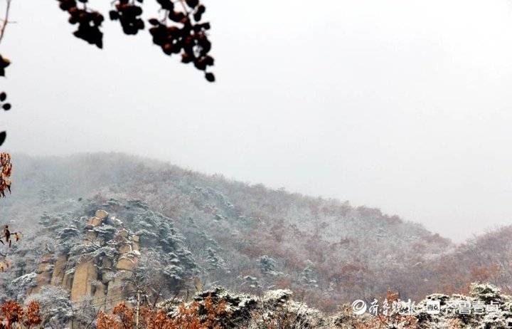 老年|新泰新甫山迎来牛年首场降雪，银装素裹似仙境