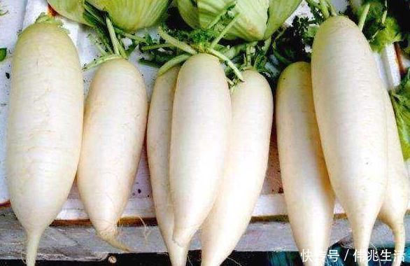 白萝卜补肾偏方一治一个准,强腰补肾益健康,为健康值得了解