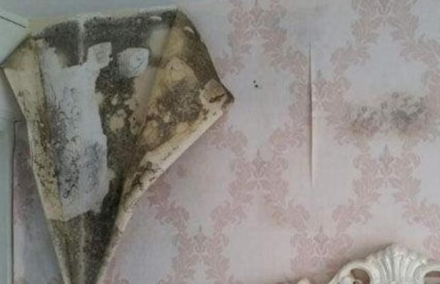 发霉|墙皮发霉脱落怎么办？装修师傅分享一妙招，让你轻松解决