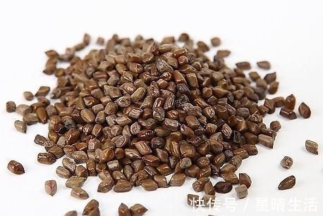 临床实用中药辞典|痰湿多，全身乱两味药，消痰+降压，稳住全身，请学习