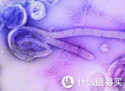 牙刷消毒器|哪款牙刷消毒器使用体验更佳？对比测试后还是东菱更胜一筹