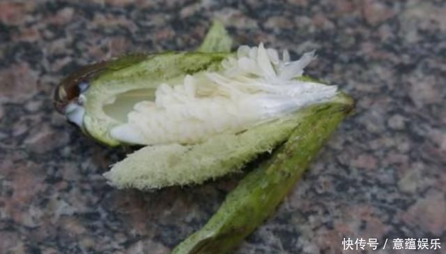 何首乌|这种植物外形像“何首乌”,长出的果实却只吃外皮,农村娃都吃过