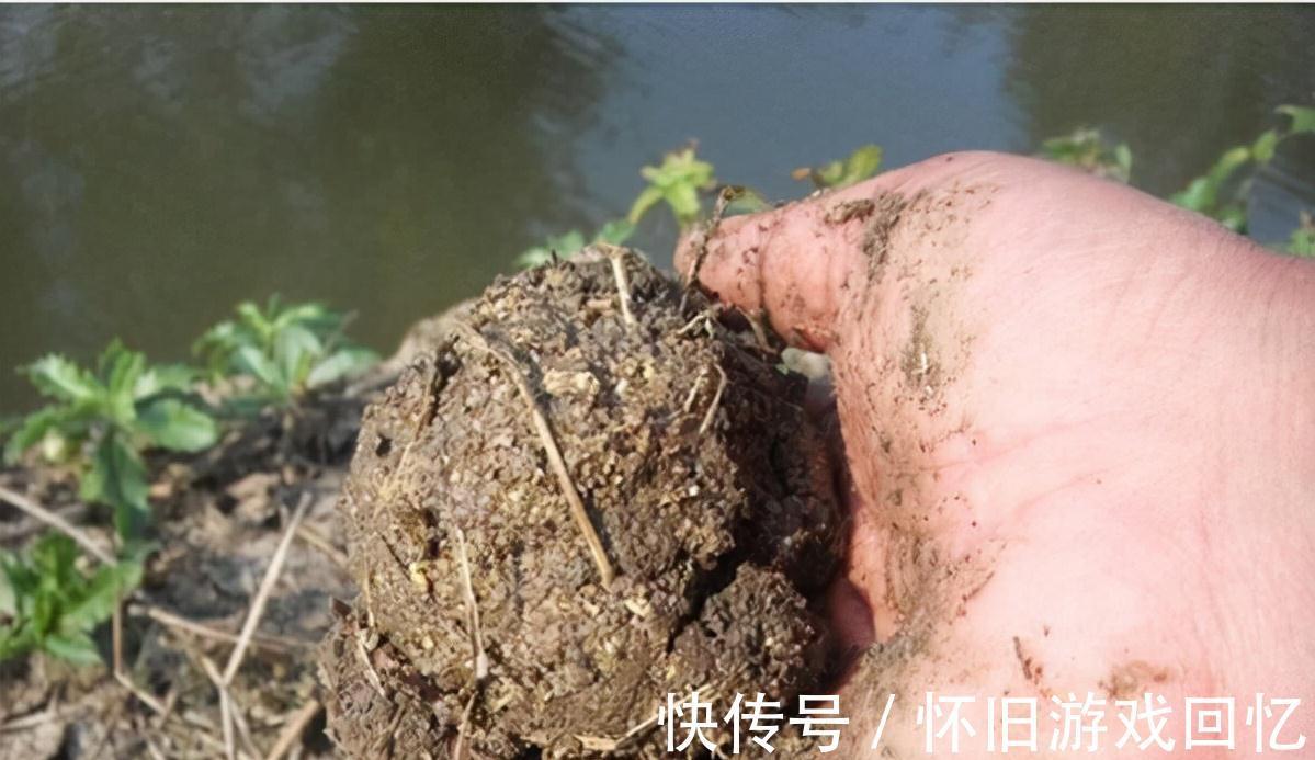 野钓试试这两种打窝方法,专门针对鲤鱼和草鱼,鱼口一竿接一竿