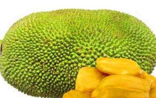  健康|健康身体全靠吃，常吃3物，健胃消食，消除炎症，美容肌肤气色好