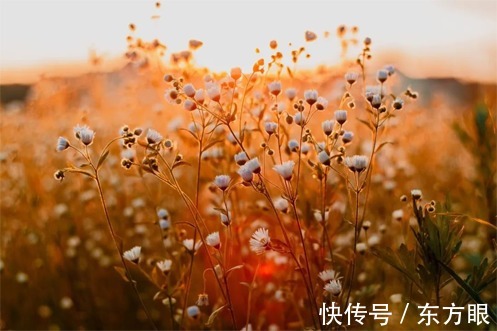 淡然|真正的幸福,就是一杯“白开水”