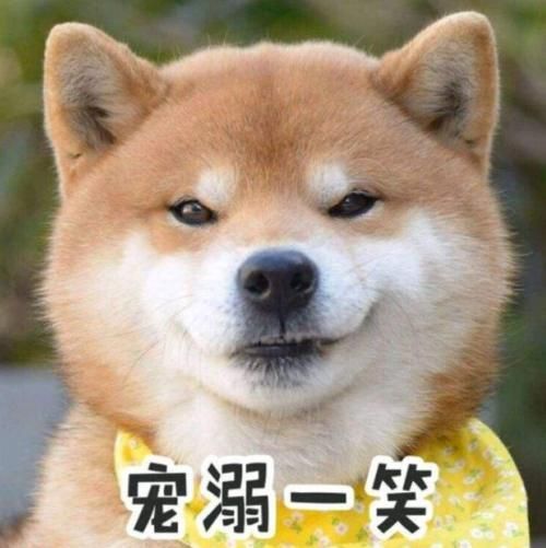 |幽默笑话,明天开家长会,你是我同学里最漂亮的妈妈,你去吧?