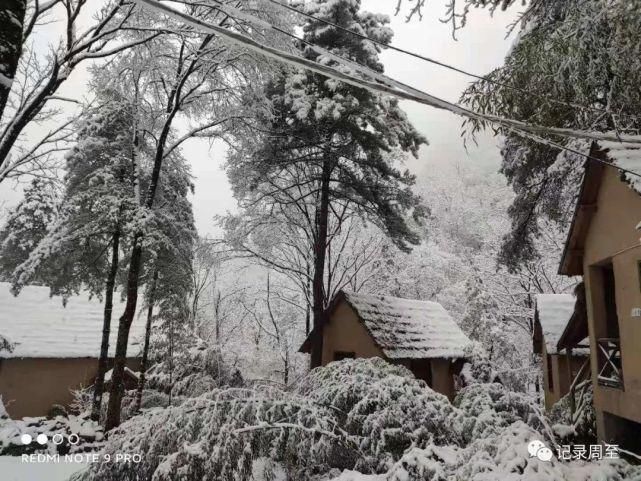 赏雪好去处！陕西黑河国家森林公园雪景和森林并存，风景美如画