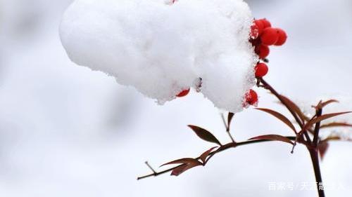 七绝&诗词七绝《冬雪》