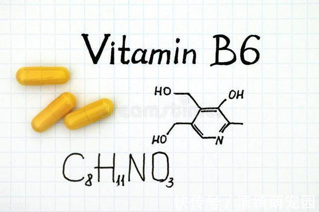 维生素b12|维生素B1、B2、B6、B12有哪些作用？这几种维生素能一起服用吗？