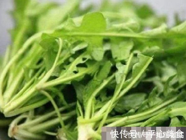 白细胞|埋没在田间的四种抗癌野菜,多数人嫌脏不吃,但是营养价值高
