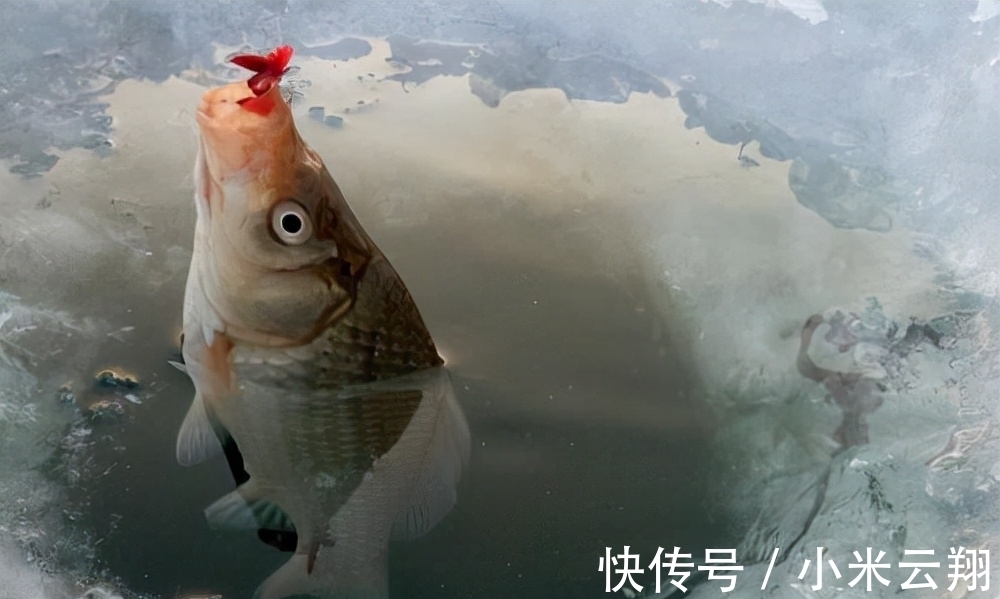 深水|冬钓到底钓深还是钓浅,这几个必要条件,你得弄明白才行