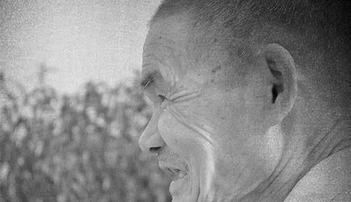 秘诀|98岁的季羡林，患2种癌，依旧高寿，专家他的秘诀很多人做不到