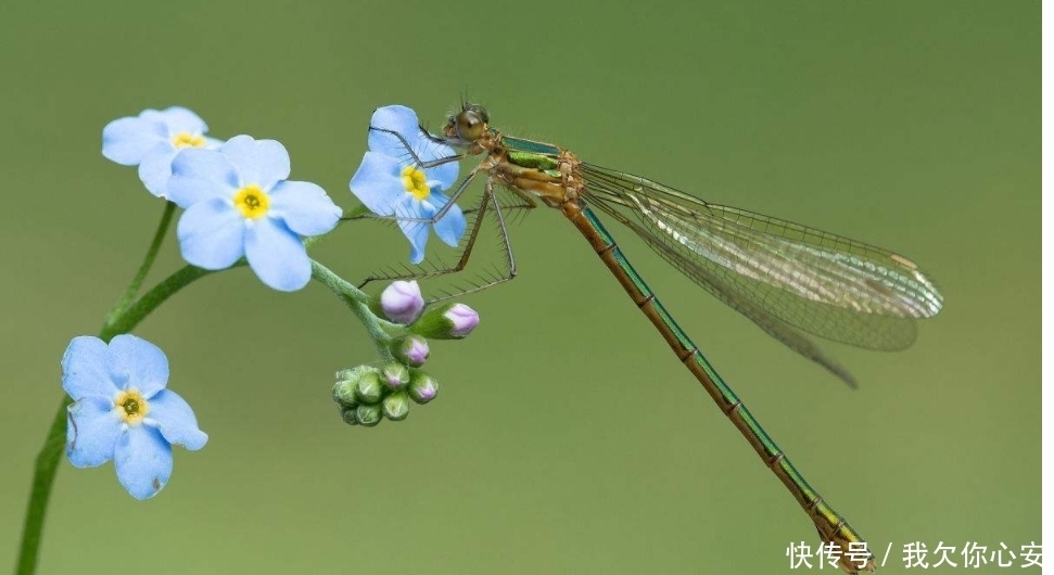 抓住|3生肖女最会抓住男人的心,她们会事先做好准备