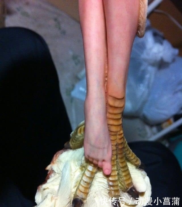 手办|岛国手办真不含糊,逼真到血管都看清楚,看到这脚丫:彻底服了