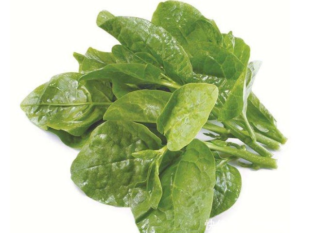 常吃6種菜比喝牛奶還補(bǔ)鈣，一斤才幾塊錢(qián)，中老年人不要錯(cuò)過(guò)哦