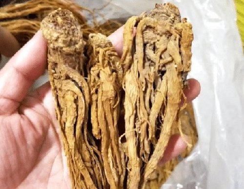 零食|女人来大姨妈,3样零食“敞开吃”,排出子宫毒素,卵巢也年轻了