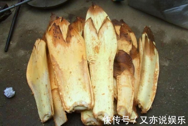 农村的这种野味一般人吃不到,产量极少,味道非常鲜美!