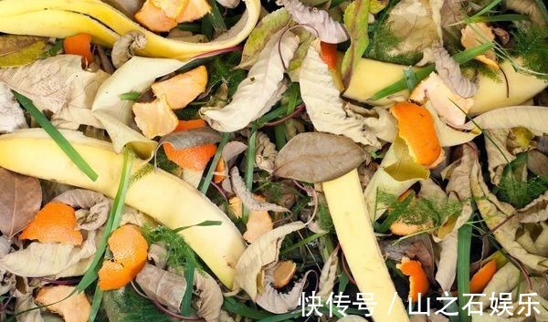 鸡蛋壳|在家里养花时,肥皂水、鸡蛋壳或煮菜的水别丢,是可以用来养花的