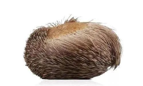 全身|瘀血除，百病消！一个古方，通窍活络，行气活血，全身瘀血都消除