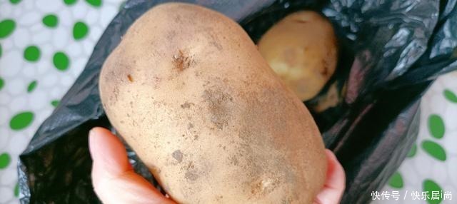 土豆芽能吃吗小贴士教你如何防止他发芽,你可以放心地储存土豆