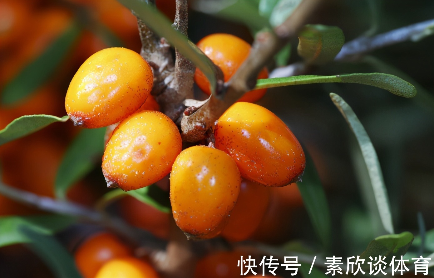 幽门螺杆菌|91岁王院士研究胃癌50年,提醒:厨房3种调料少放,或能保胃健康