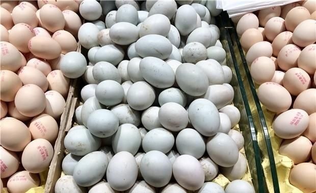 鸡蛋、鸭蛋、鹅蛋哪个营养最高今天总算知道了，以后别再吃错了