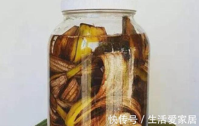 万能肥|香蕉皮:绿叶的“清洁剂”,养根壮土的“万能肥”