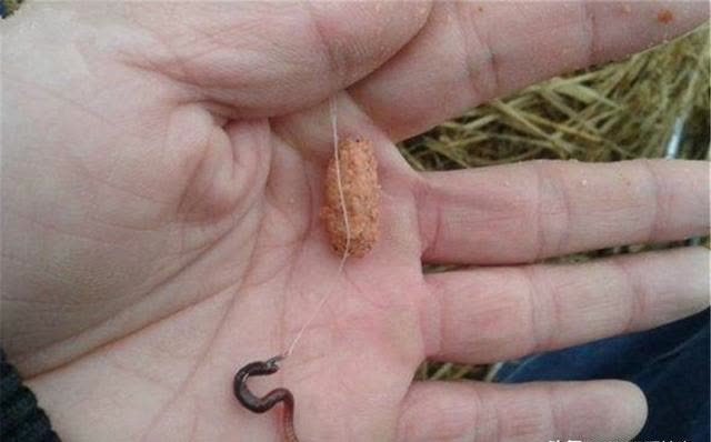 春季浅滩钓大鲫,如何提升中鱼率?选对漂是前提,调漂方法很关键