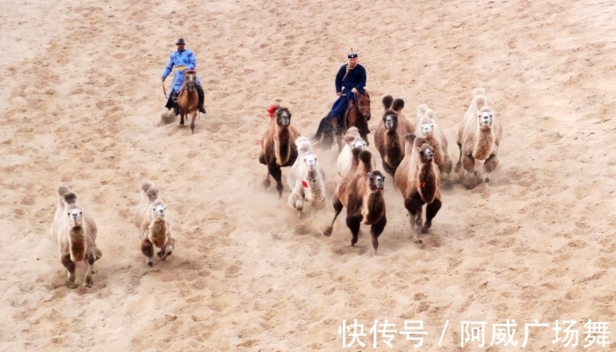 日落|中秋节在乌兰布统敖包吐后山，拍摄骆驼冲沙，遇见美丽的晚霞