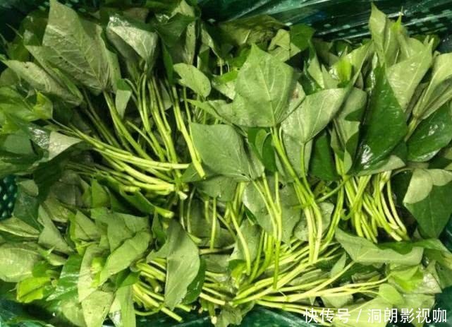 红薯藤|“此菜”在农村没人吃,城里几块钱一斤,炒一盘上桌就抢空!