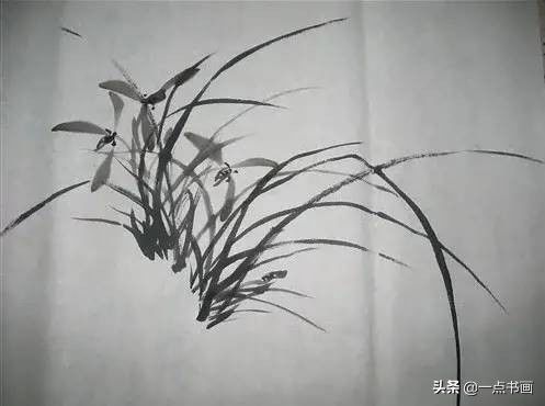 兰花！兰花画法，一学就会