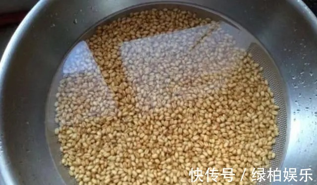 钓手|大鲫鱼可遇不可求？老钓手稍微调整下策略，上鱼快到没话说。