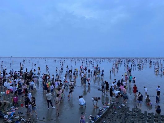 碧海金沙|夏天要看海！奉贤这份“观海攻略”请查收