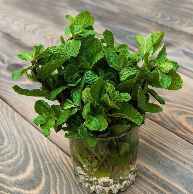 小花|阳台种了3种菜，一茬一茬很新鲜，夏天正好长得旺，吃得过瘾