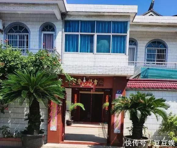 浇水|这4种“盆景树”,不仅观赏性高,寿命还特别长,越养越值钱